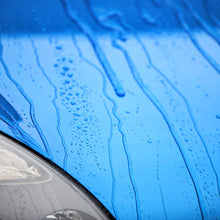 Load image into Gallery viewer, ShieldSpray2020copy6_2048x.jpg