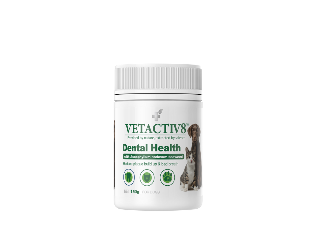 VetActiv8 - Dogs & Cats - Pet Supplements - Dental Health 4 x 150g