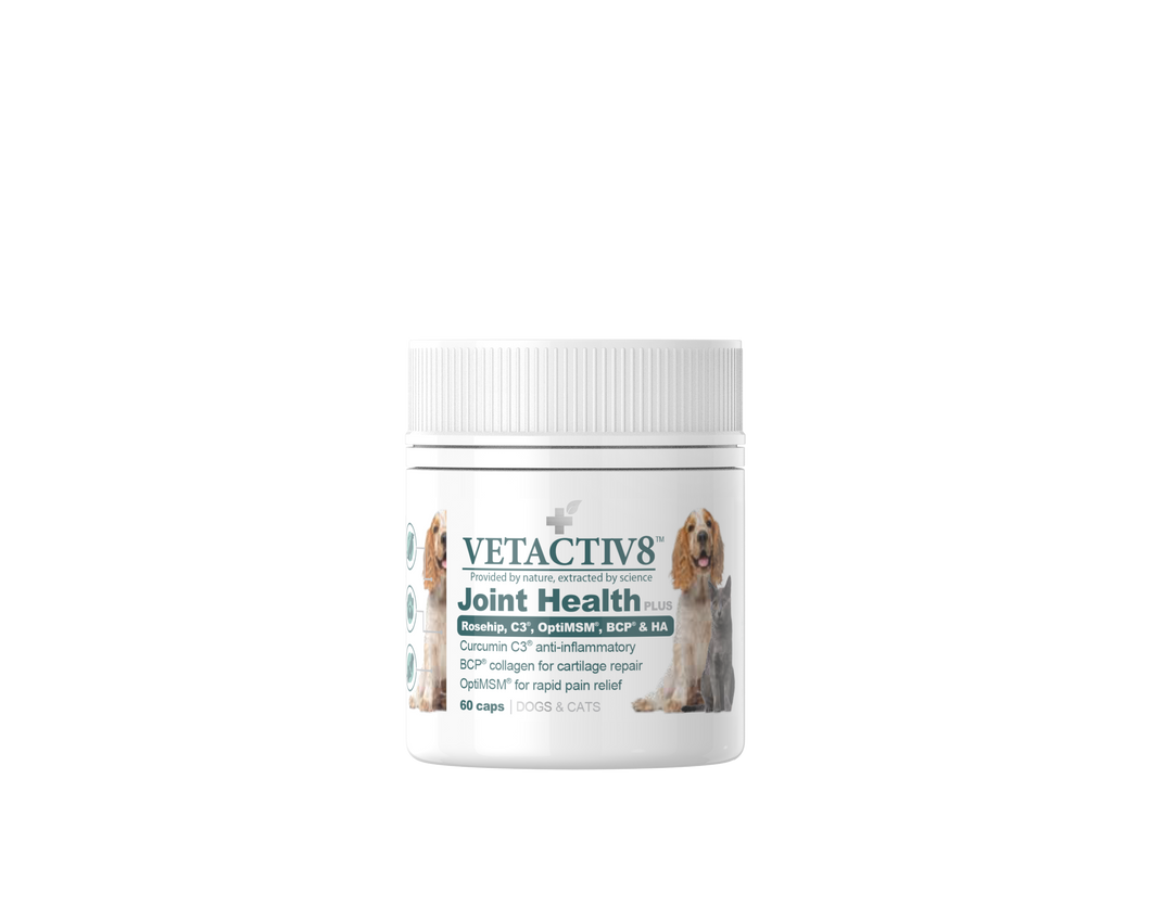 VetActiv8 - Dogs & Cats - Pet Supplements - Joint Health Plus 4 x 60 Capsule