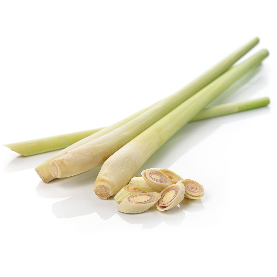 Lemongrass x 1 (Stick)